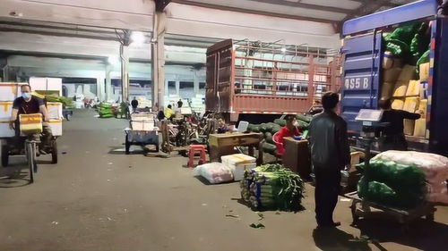 東莞特色商貿(mào)市場(chǎng)之12,莞城細(xì)村市場(chǎng),市區(qū)蔬菜交易集散地